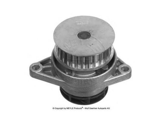 Buy 036121005P Engine Parts Water Pump online manufacture