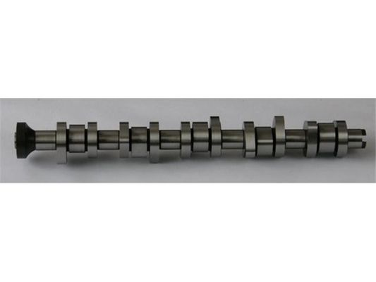 070109101P Engine Parts Camshaft for VW CALIFORNIA T5 Camper (7EC, 7EF, 7EG, 7HF)