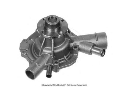 1112004301 Engine Parts Water Pump