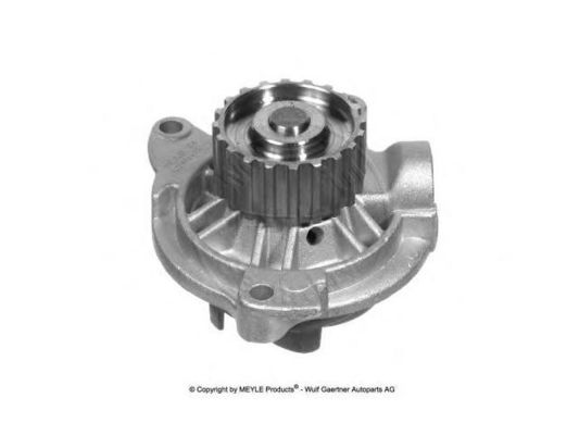074121004 Engine Parts Water Pump