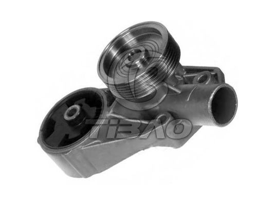 007070251 Engine Parts Water Pump