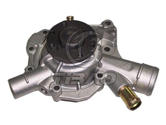 1112003901 Engine Parts Water Pump
