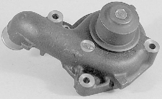 5020242 Engine Parts Water Pump