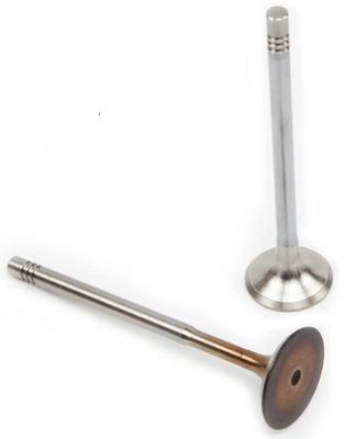 036109601AD Engine Parts Engine Valve
