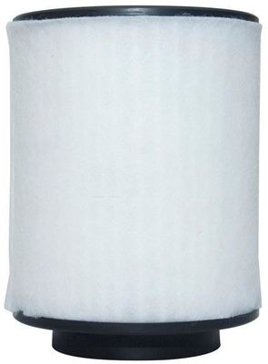 4H0129620L Engine Parts Air Filter