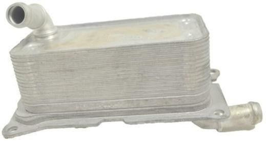 2465010501 Engine Parts Oil Cooler