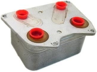 077117021P Engine Parts Oil Cooler