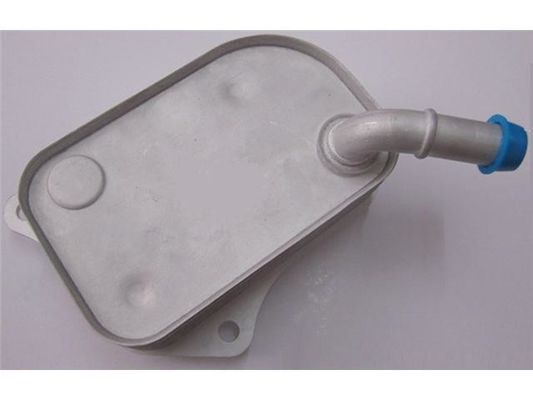 06B117021 Engine Parts Oil Cooler