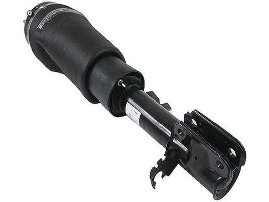RNB500540 Air Suspension Parts Air Suspension Strut