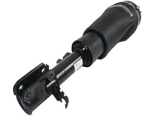 RNB500550 Air Suspension Parts Air Suspension Strut