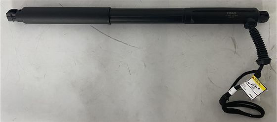 51247332696 Gas Spring Boot
