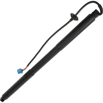 1668901130 Gas Spring Boot