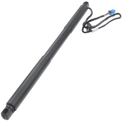 1668900100 Gas Spring Boot