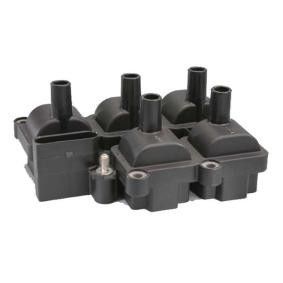 071905106 Engine Parts Ignition Coil for VW GOLF, SEAT